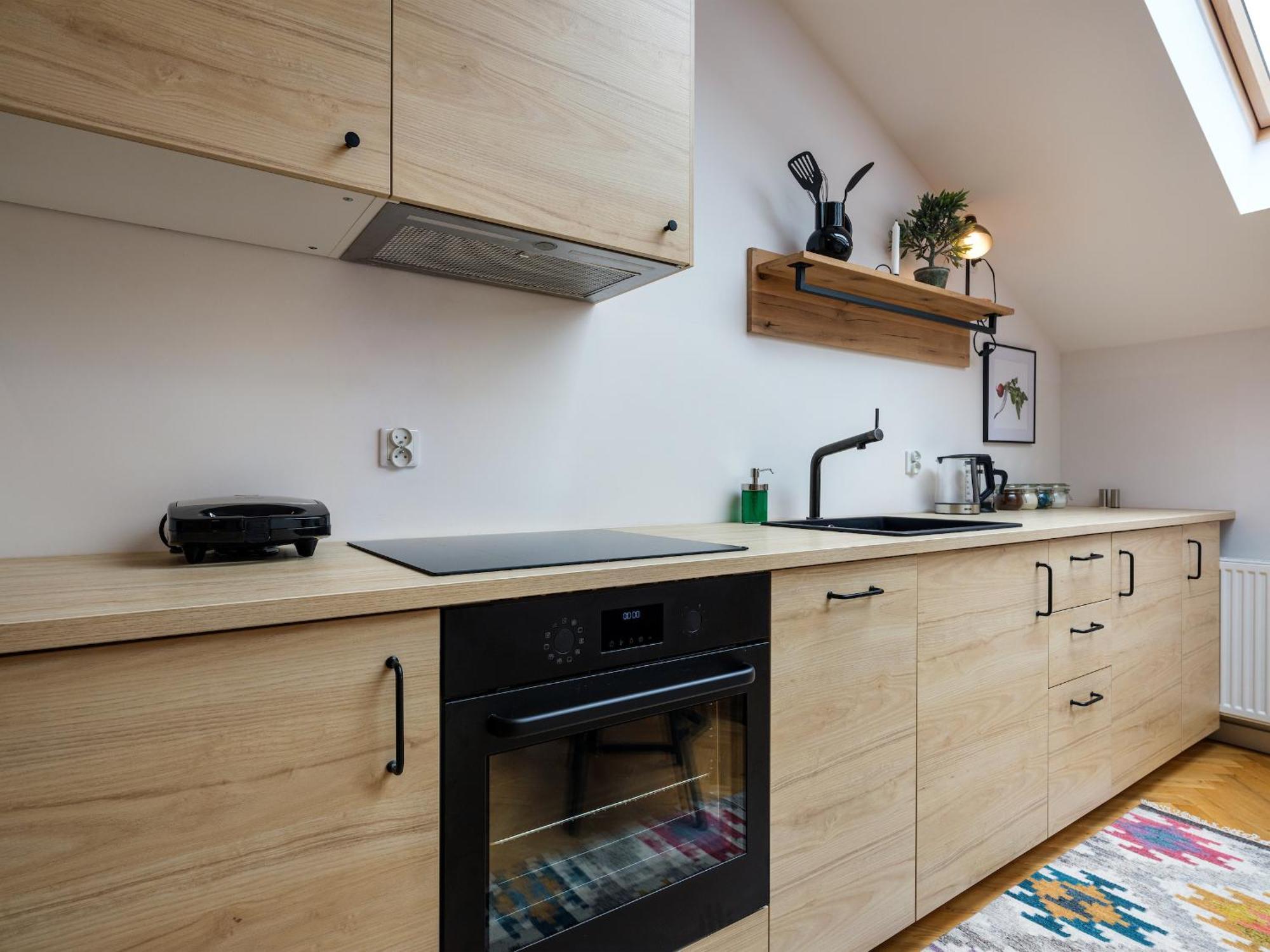 Tyzenhauz Apartments Siemiradzkiego Street 克拉科夫 外观 照片